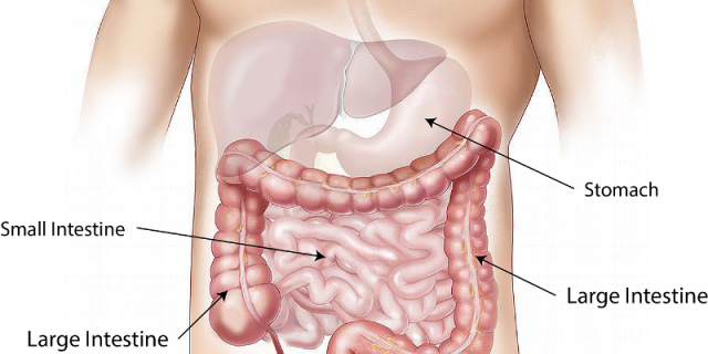 Chi Nei Tsang Abdominal Massage