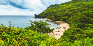 A view of Ao Sane beach, in the South of Phuket, Thailand