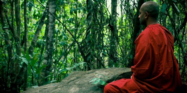 Thai Forest Tradition Vipassana Retreats in Thailand