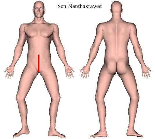 Thai Sib Sen - Sen Nanthakrawat