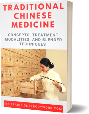 Traditional Chinese Medicine eBook - Traditional Chinese Medicine