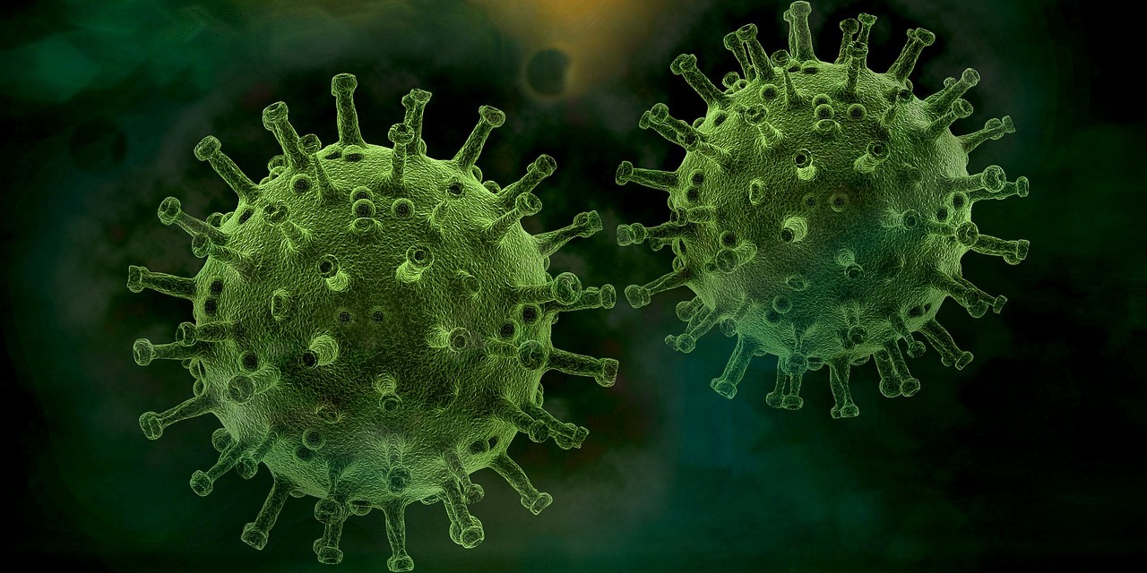 Massage, our Immune System, and the Coronavirus