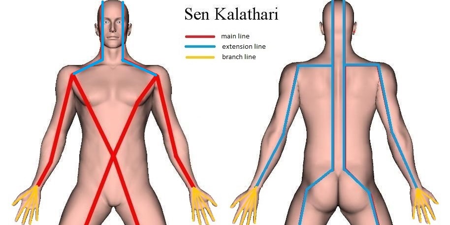 Are Sen Lines Needed to Give Thai Massage Therapy?