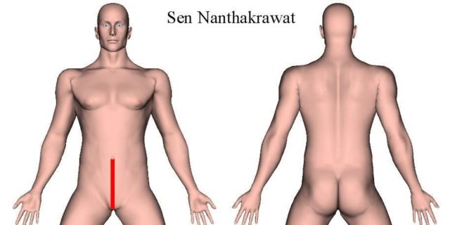 Sen Nanthakrawat