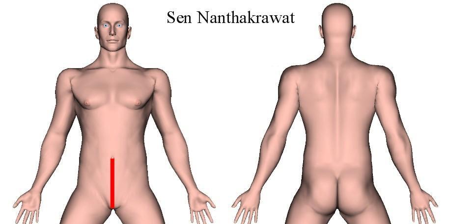 Thai Sib Sen - Sen Nanthakrawat