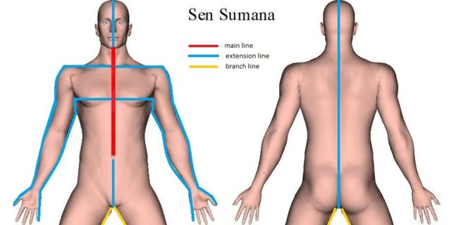 Sen Sumana, Sushumna, and Saraswati Nadi