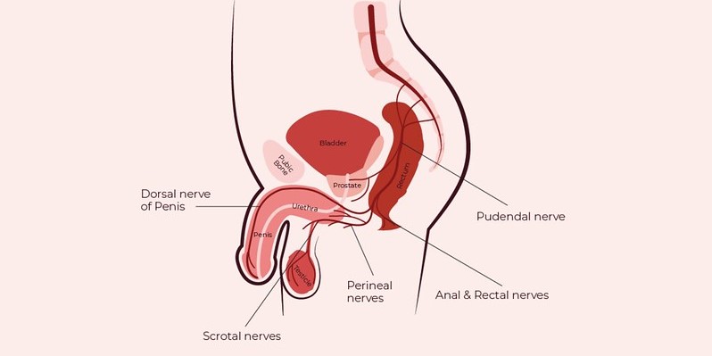 What Is a Prostate Massage?