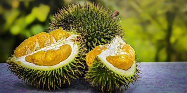 Durian Fruits and Sex Drive