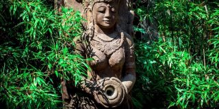 india-fertility_womb