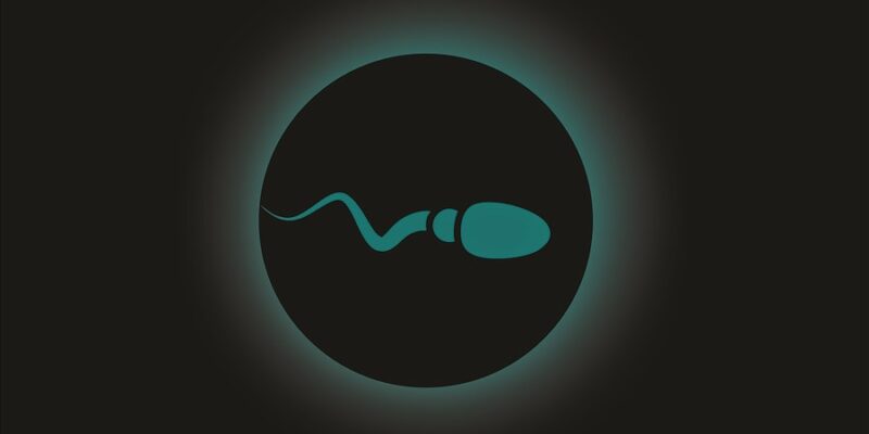 Sperm Banking and Sperm Donation