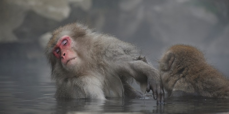 What Is Hydrotherapy Massage?