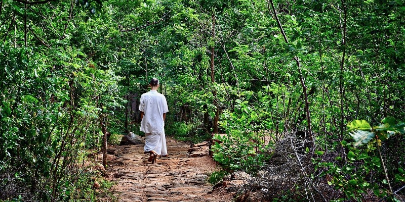 Kinhin | Buddhist Walking Meditation