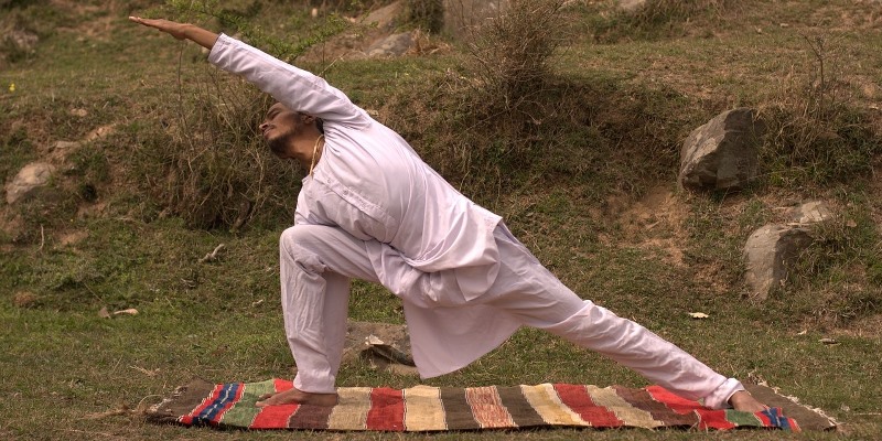Hatha Yoga | The Yoga Practice of Force