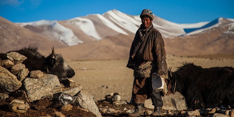 Mongolian Traditional Massage