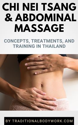 eBook - Chi Nei Tsang & Abdominal Massage Treatments and Training in Thailand eBook - Chi Nei Tsang & Abdominal Massage in Thailand