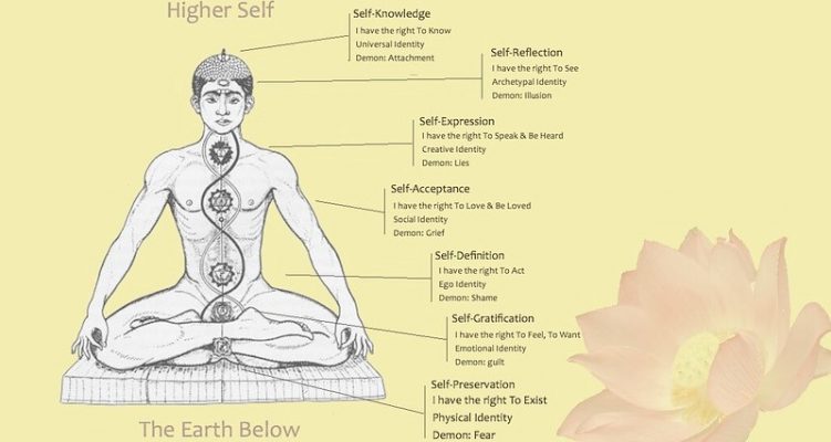 Marma Points, Nadis, Chakras | Ayurveda and Yoga