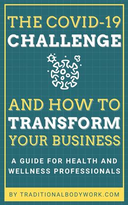 Book - The COVID-19 Challenge and How to Transform Your Business