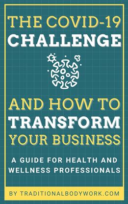 eBook - The COVID-19 Challenge and How to Transform Your Business Book - The COVID-19 Challenge and How to Transform Your Business