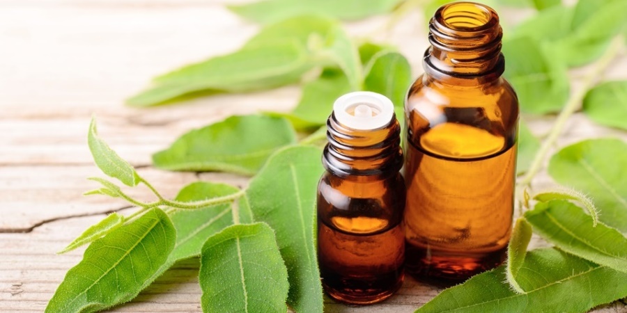 Eucalyptus Oil and Massage Therapy Benefits