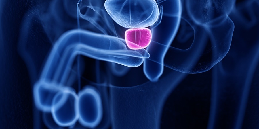 Prostate Massage | Internal and External Therapies