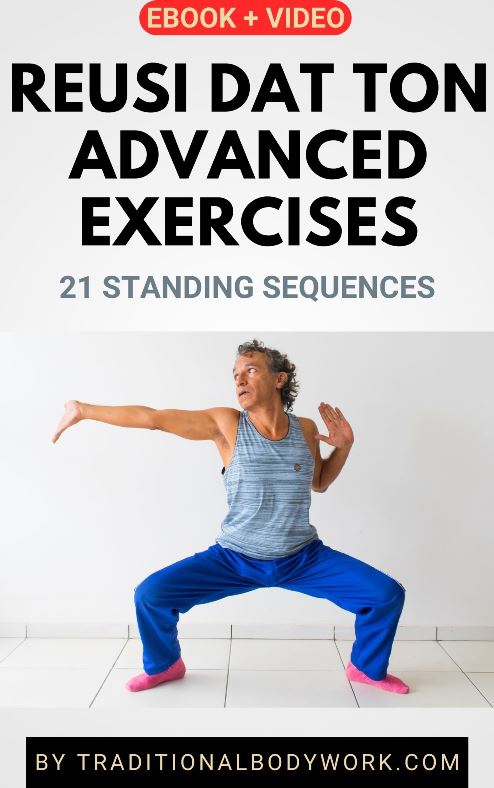 Reusi Dat Ton Advanced Exercises – 21 Standing Sequences | Video Workshop