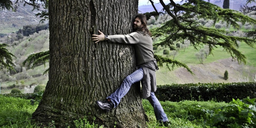Tree Hugging | Nature Therapy with Trees