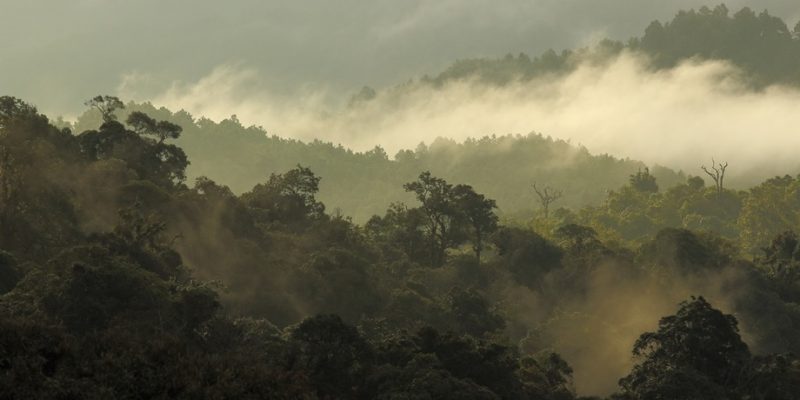 Rains in French-Guiana