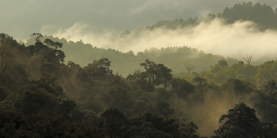 Rains in French Guiana