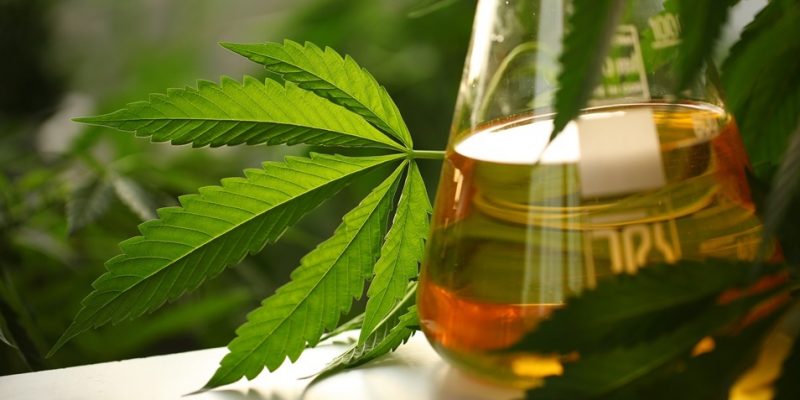 CBD Massage | Medical Cannabis, Cannabidiol, and Health Benefits