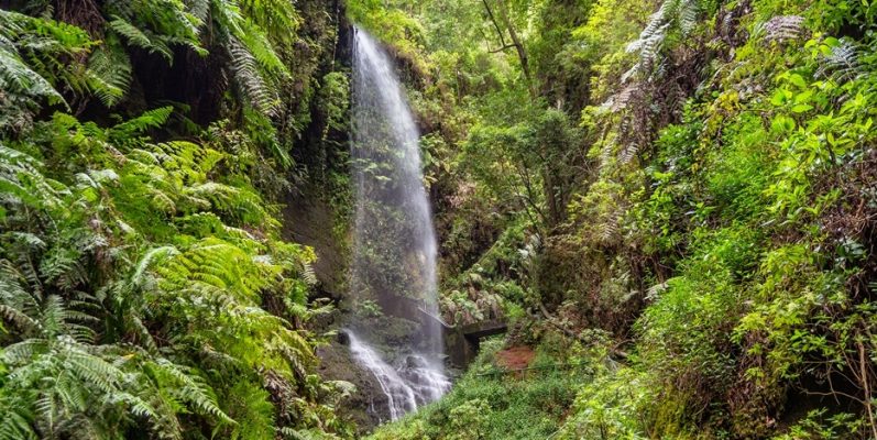 La Palma – Wild West Waste of Water