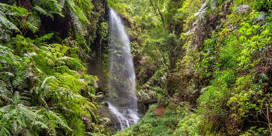 La Palma - The Wild West Waste of Water