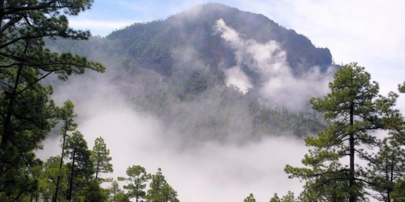 Puntagorda – It’s Peaceful Here | La Palma