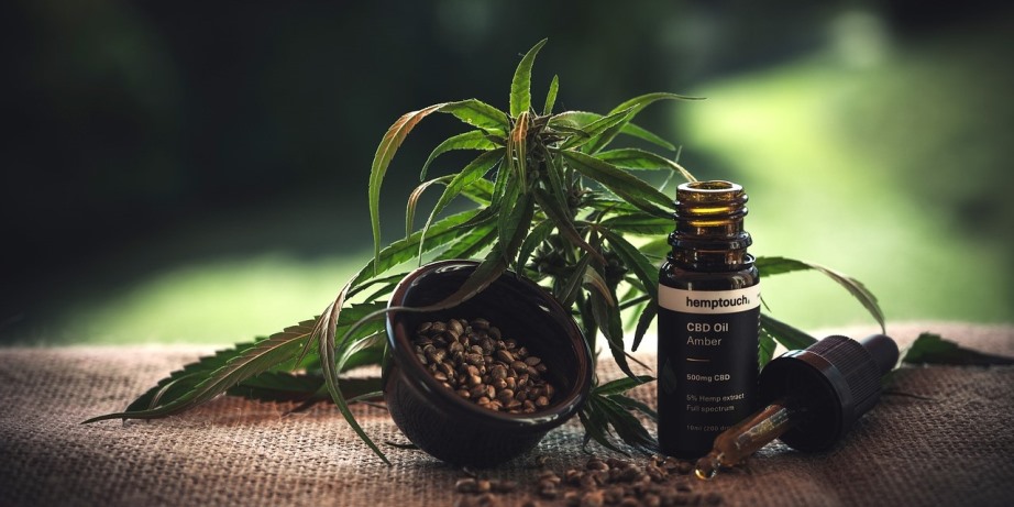 CBD Oil Massage Treatment Providers in Bangkok