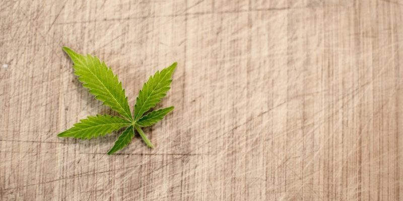 Hemp and Marijuana | What Is the Difference?
