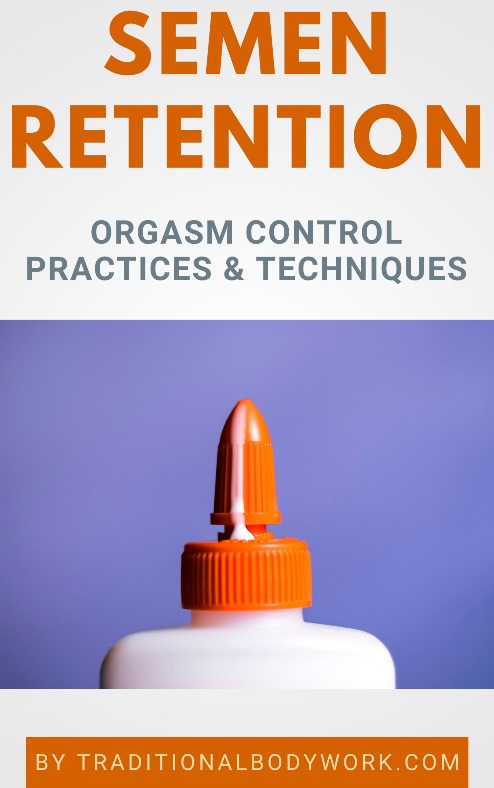 Semen Retention, Ejaculation, and Orgasm Control - eBook