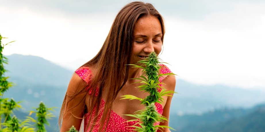 Health Benefits of Cannabis | THC and CBD