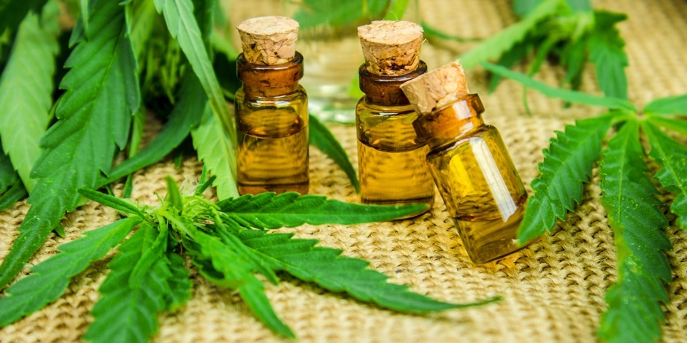 Precautions of Using Cannabis Products | CBD and THC