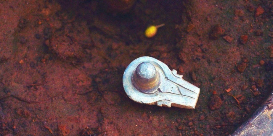 Lingam symbol