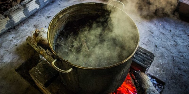 Ayahuasquero, Shaman, and Curandero | What’s the Difference?