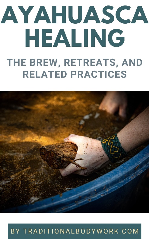 Book - Ayahuasca Healing
