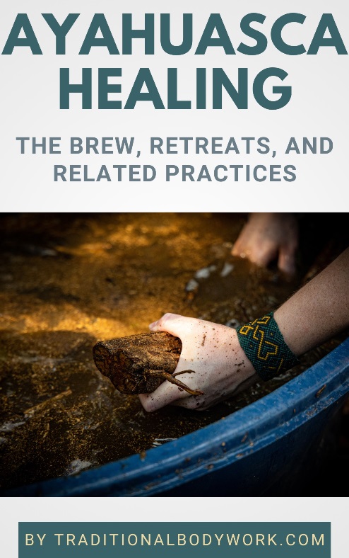 eBook -
Ayahuasca Healing Book - Ayahuasca Healing