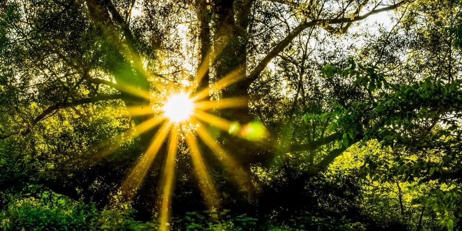 Radiance Breathwork | Aims, Techniques, and Benefits