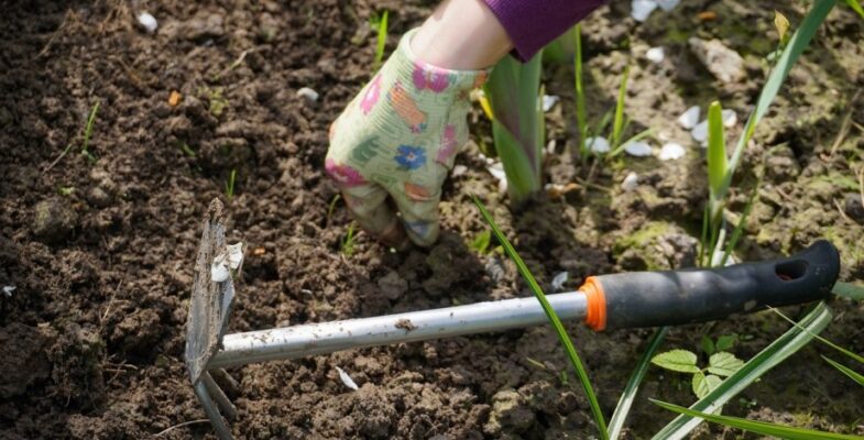 Gardening in Nature and its Health Benefits