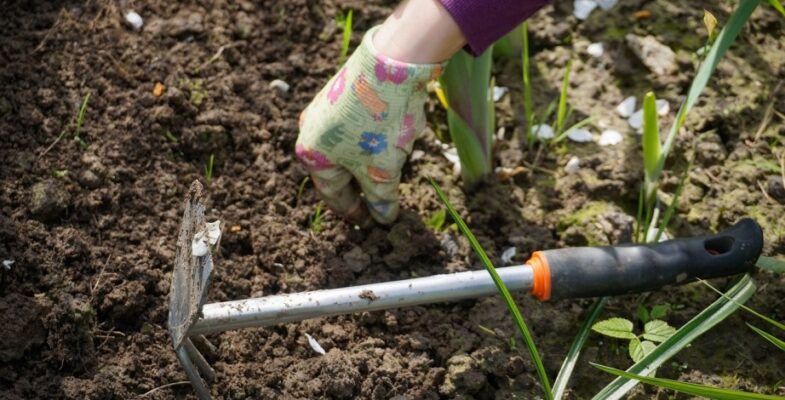 Gardening in Nature