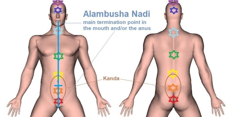 Alambusha Nadi | Location, Trajectory, and Chart