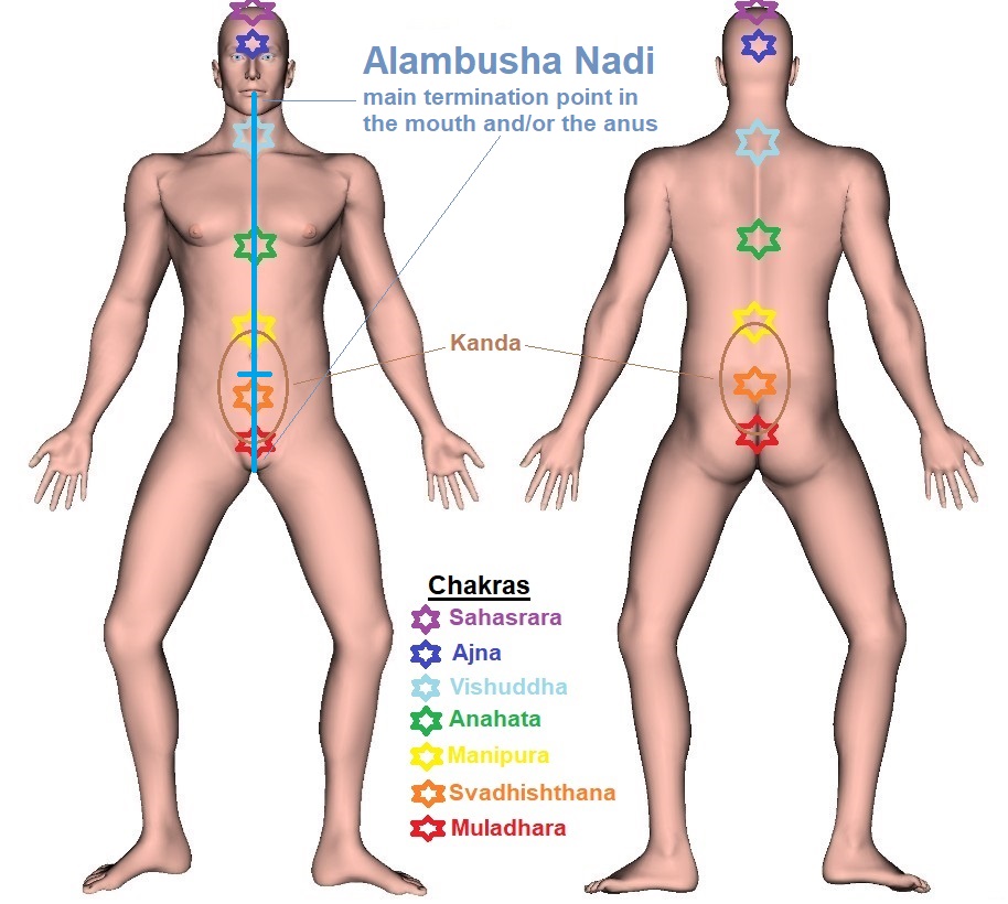 Alambusha Nadi - Trajectory