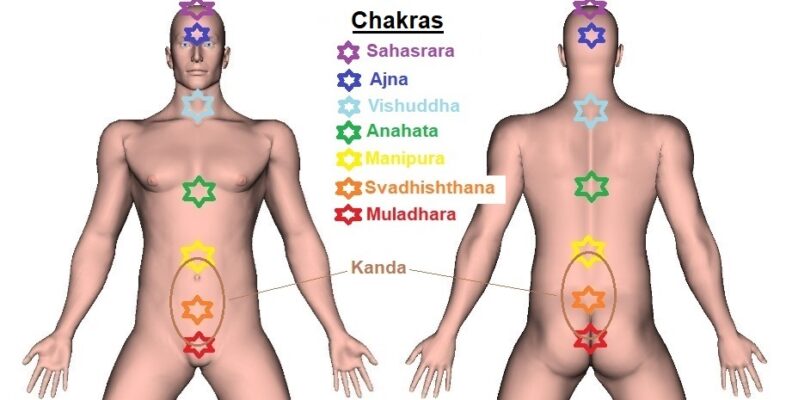 The Chakras | Prana Transformation and Distribution Centers