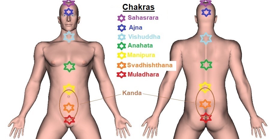 The Chakras | Prana Distribution and Transformation Centers