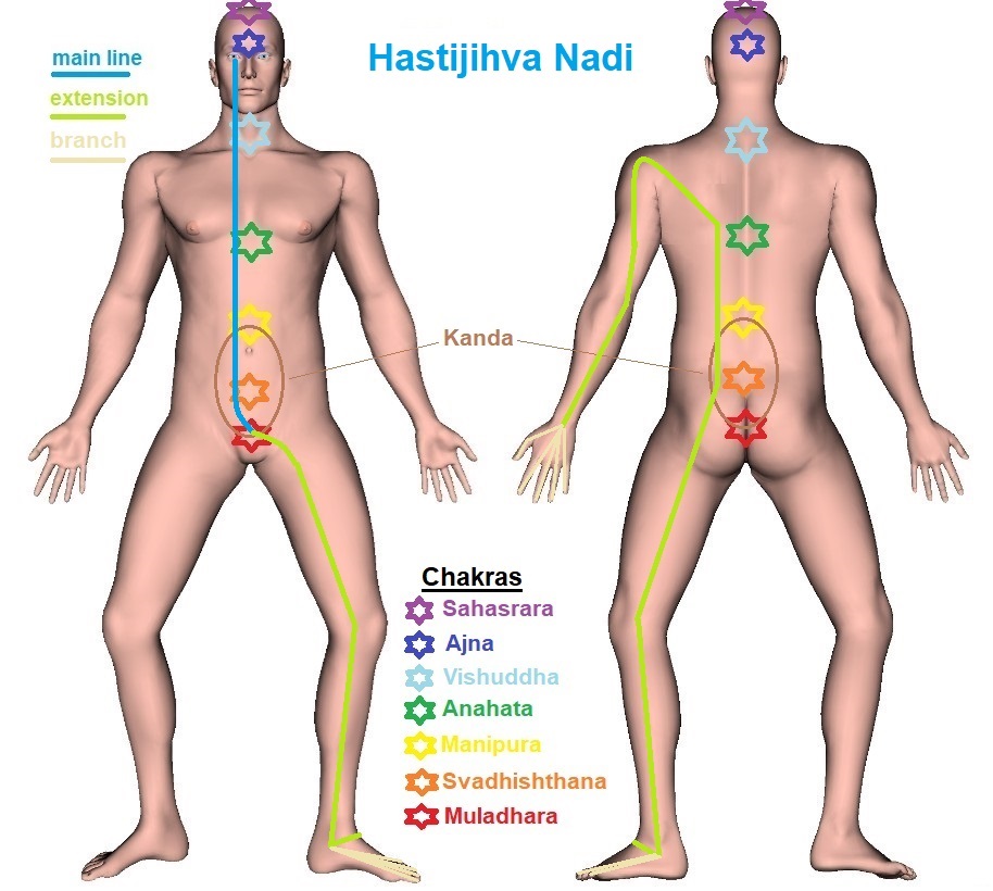 Hastijihva Nadi - Tentative Trajectory Chart