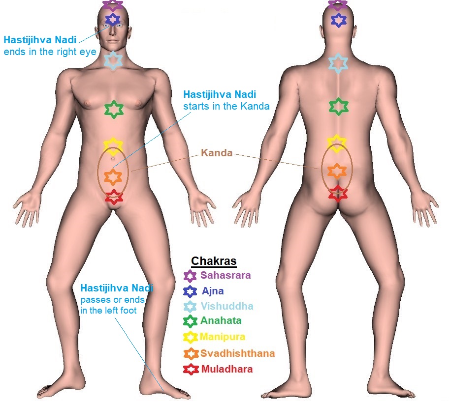 Hastijihva Nadi - Trajectory Chart